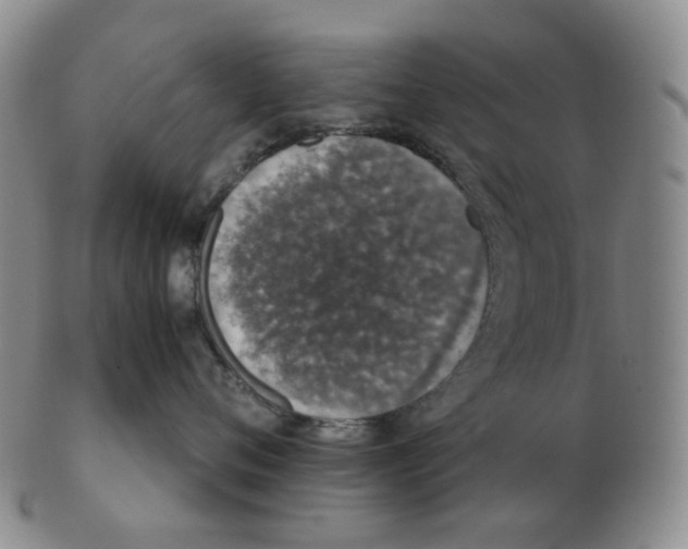 X0000102770720200809151039