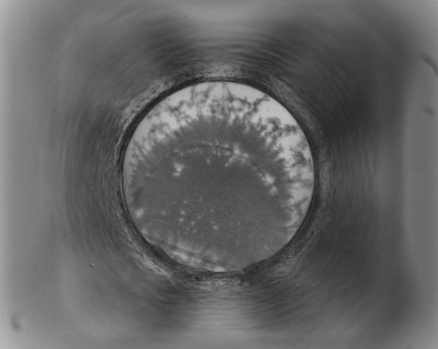 X0000102770721200809151039