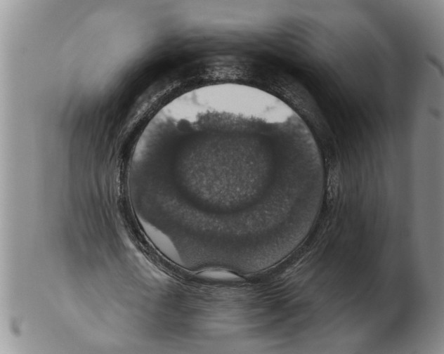 X0000102770722200809151039