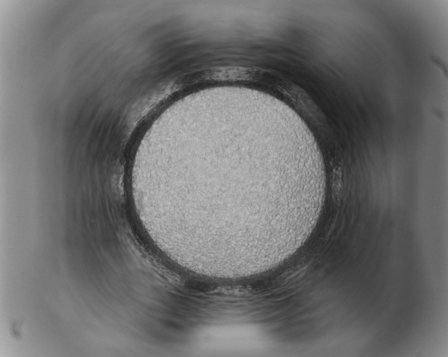 X0000102770727200809151039