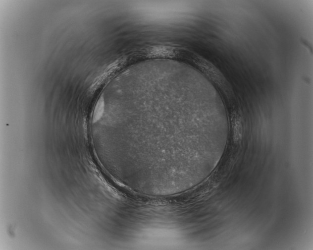 X0000102770729200809151039