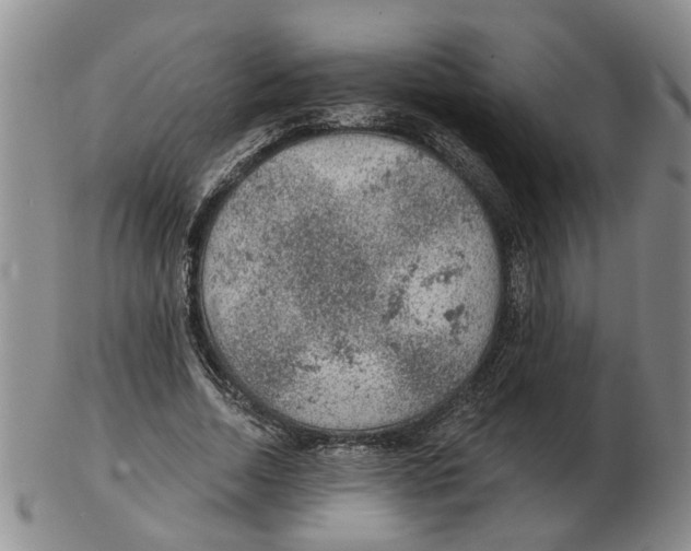 X0000102770730200809151039