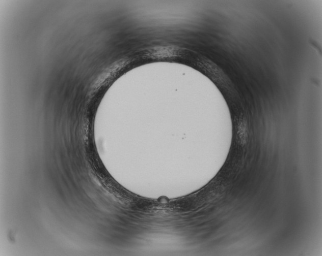 X0000102770732200809151039