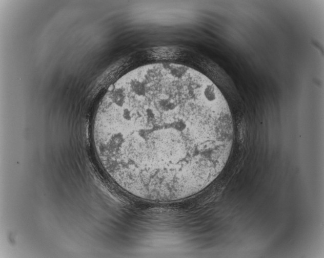 X0000102770733200809151039