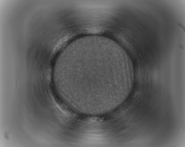 X0000102770736200809151039