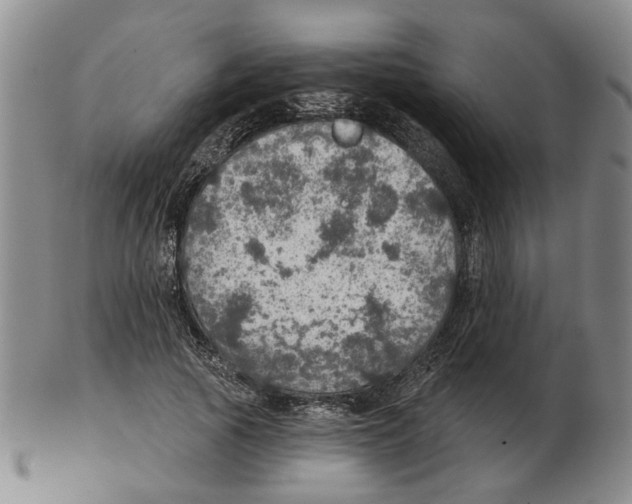 X0000102770737200809151039