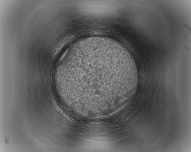 X0000102770738200809151039