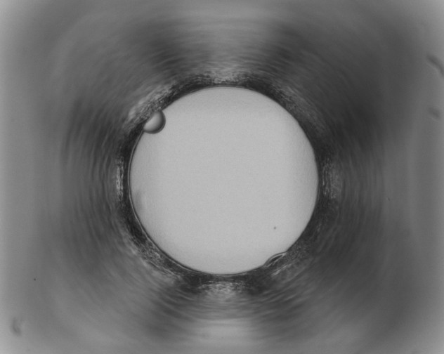 X0000102770740200809151039