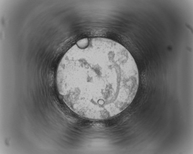 X0000102770741200809151039