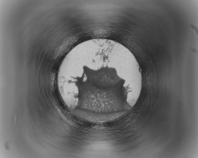 X0000102770742200809151039