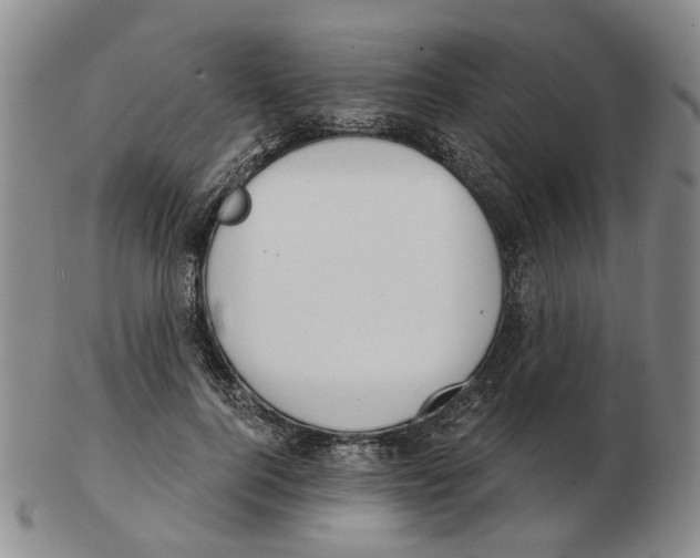 X0000102770744200809151039