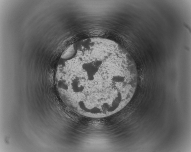 X0000102770745200809151039