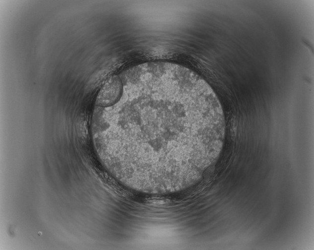 X0000102770746200809151039