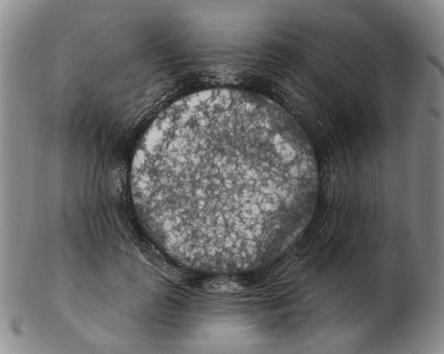 X0000102770747200809151039