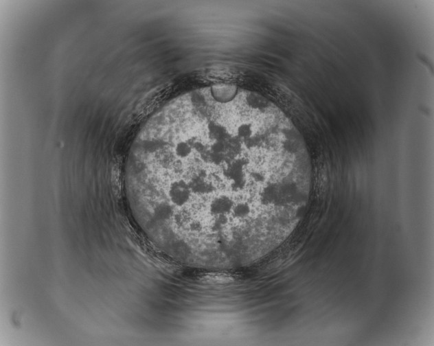 X0000102770749200809151039