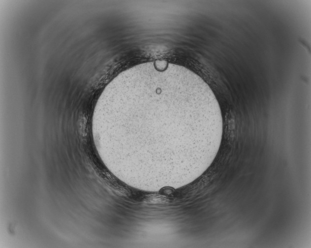 X0000102770750200809151039