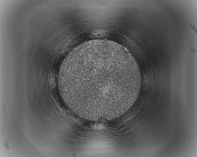 X0000102770751200809151039