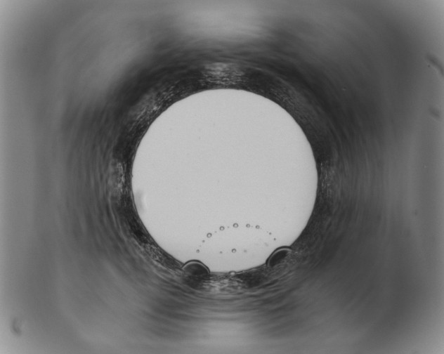 X0000102770752200809151039