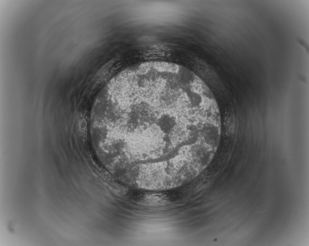 X0000102770753200809151039