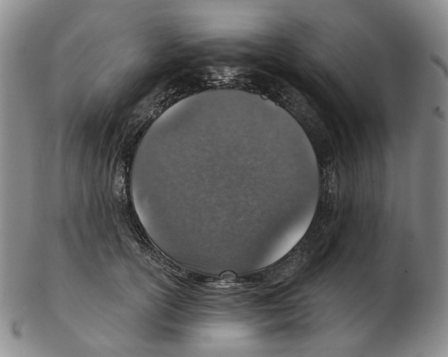 X0000102770754200809151039