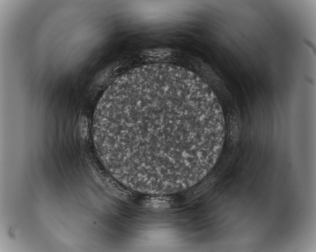 X0000102770758200809151039