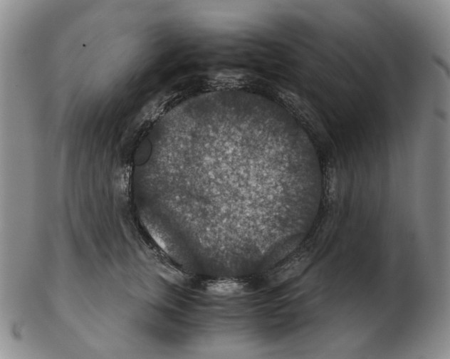 X0000102770759200809151039