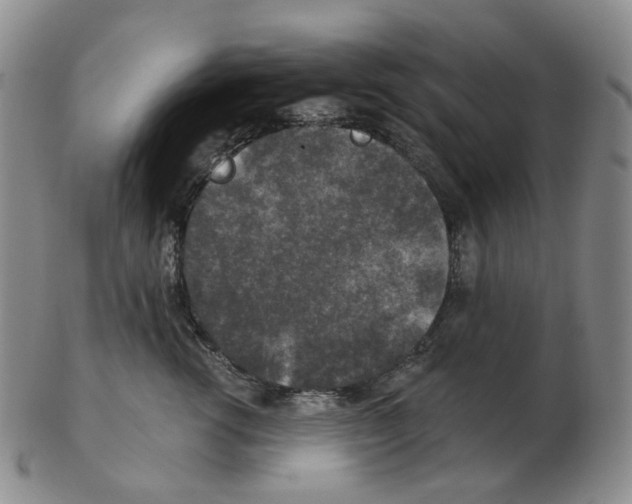 X0000102770762200809151039