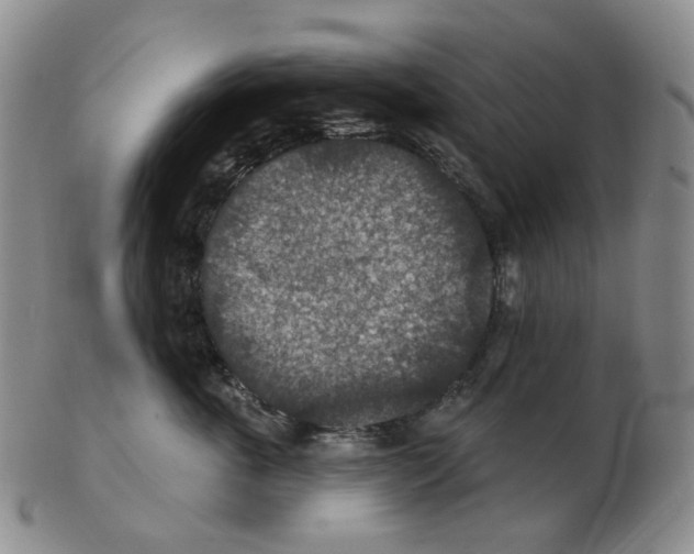 X0000102770763200809151039