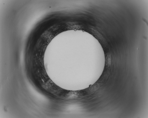 X0000102770764200809151039