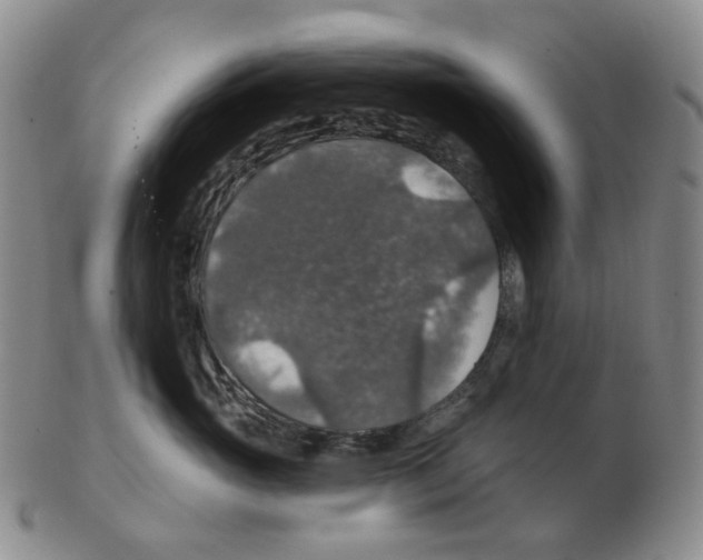 X0000102770765200809151039