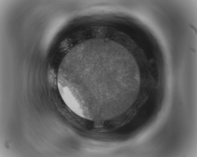 X0000102770766200809151039