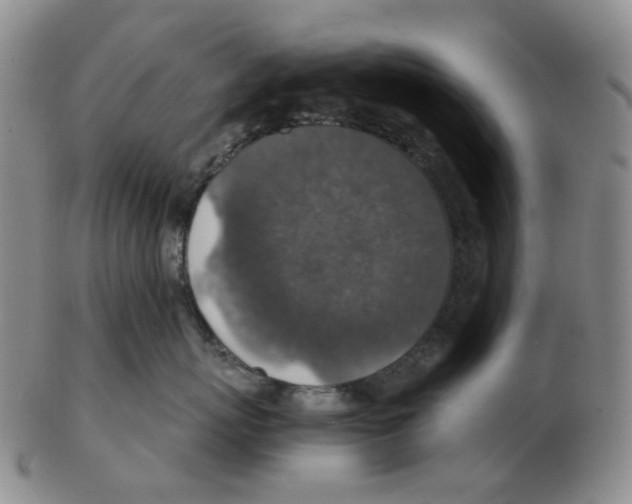 X0000102770767200809151039