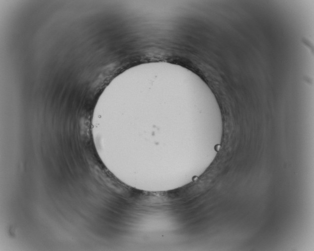 X0000102770768200809151039