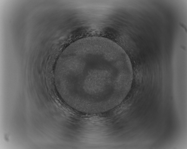 X0000102770769200809151039