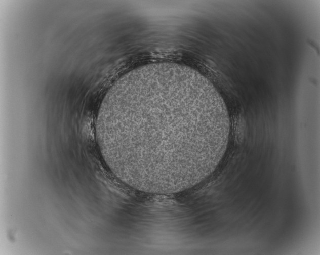 X0000102770770200809151039