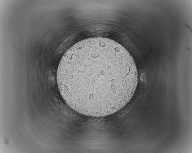 X0000102770771200809151039