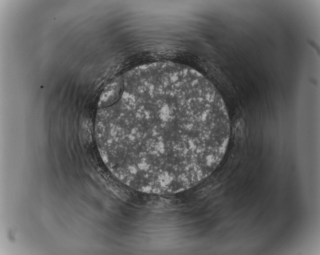 X0000102770772200809151039