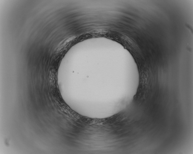 X0000102770773200809151039