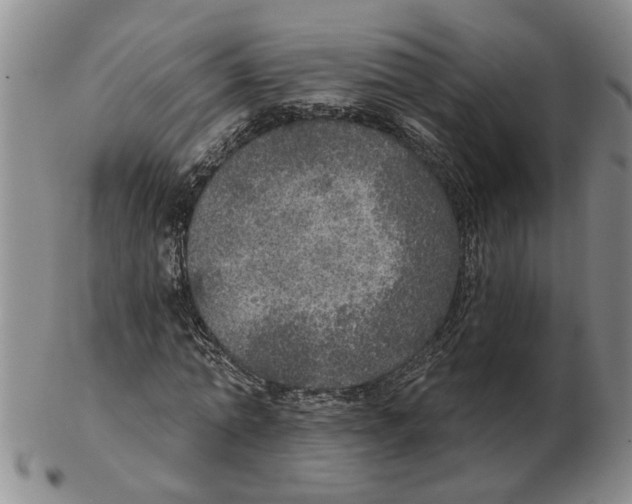 X0000102770774200809151039