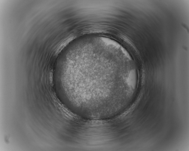 X0000102770777200809151039