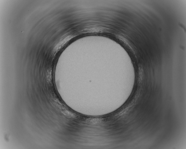 X0000102770778200809151038