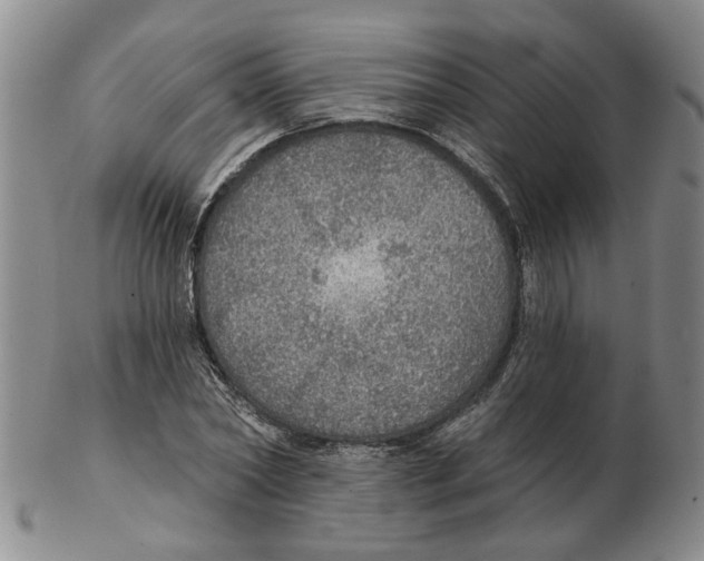 X0000102770782200809151038