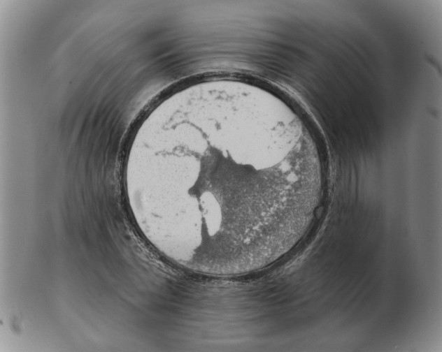 X0000102770783200809151038