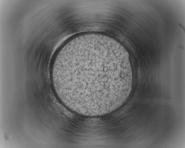 X0000102770784200809151038