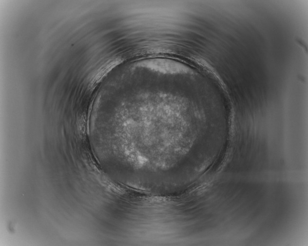 X0000102770785200809151038