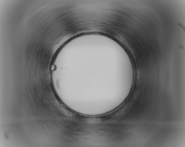 X0000102770789200809151038