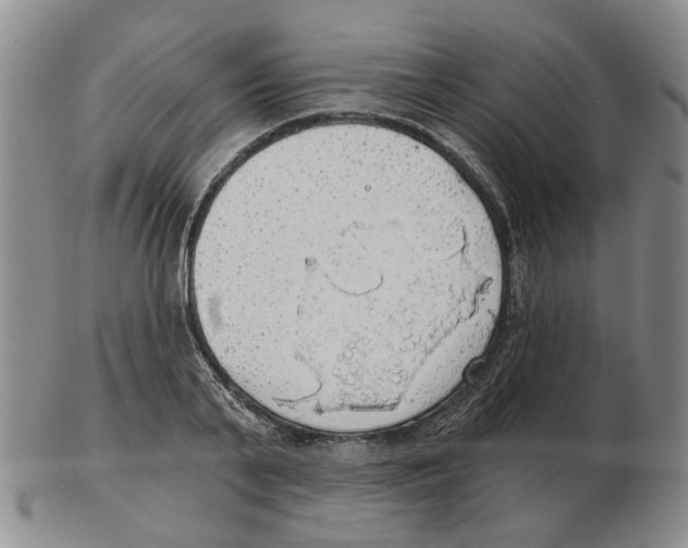 X0000102770791200809151038