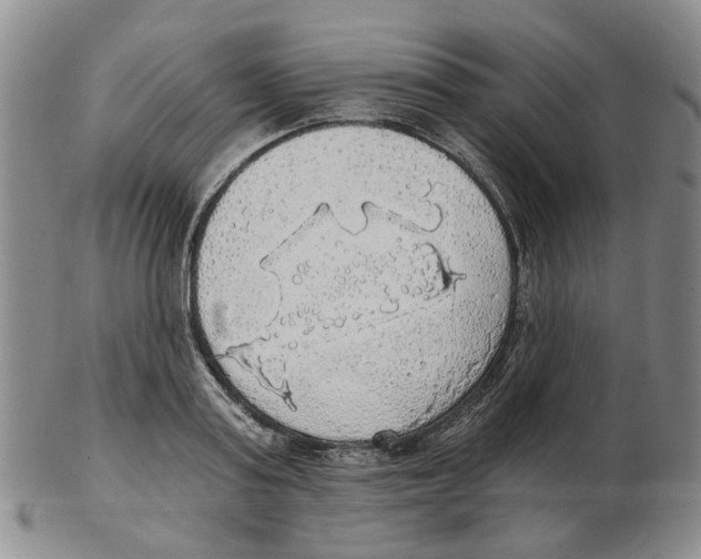 X0000102770795200809151038