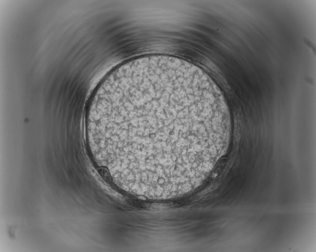 X0000102770796200809151038