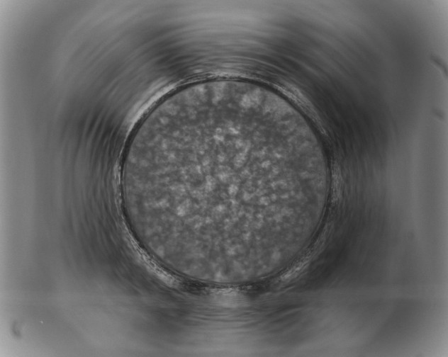 X0000102770798200809151038